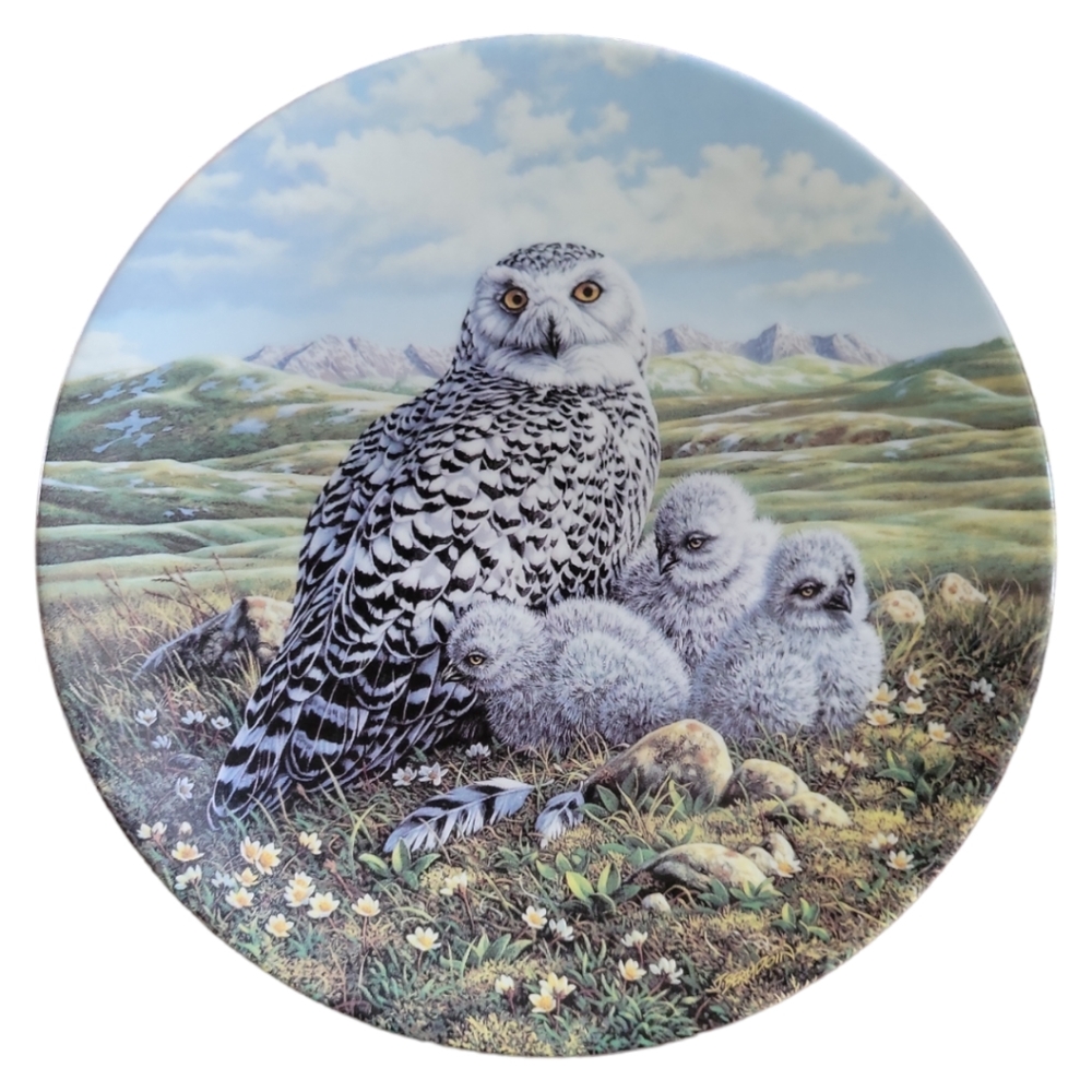 Vtg Plate Artic Spring:Snowy Owls 1st Issue Under Mother's Wing #1812A - Picture 1 of 3